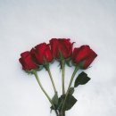 둔포도서관 이미지