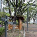 도림천 산책로5 이미지