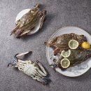 연평바다살리기영어조합법인 이미지