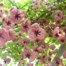 흙이랑 나무랑 이미지