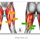 와이키키짐 이미지