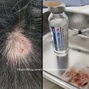 간석굿모닝의원 이미지