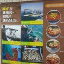 수산항물회
