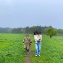 맘마목장 이미지