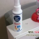 천록(아) 네이버블로그