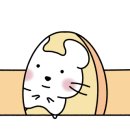 백암세차장 이미지