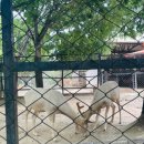 가족뮤지컬 뽀로로 매직싱어롱쇼 이미지