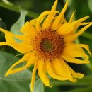 종난농장 이미지