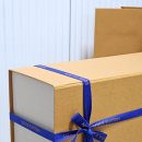 루이야 학교가자 | 하남스타필드 루이비통 캐리올 이스트웨스트 LV바이브 크로스+숄더한달후기