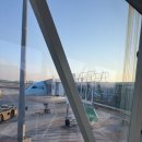 브이아이피리모렌터카 | [제주 2박3일 후기] 제주 하얏트, 아쿠아플라넷 후기