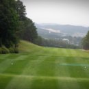 현충원로(유성-18) 이미지