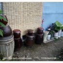 산속의 아침 이미지