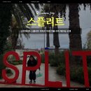 그루미뇽 | 크로아티아 스플리트 야자수 아래 겨울 리바 해안길 산책