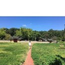 시골국수 이미지