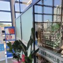 김성훈이비인후과의원 이미지