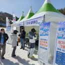 용평리조트 스키장 이미지