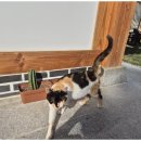 불국사한옥코코스테이 이미지