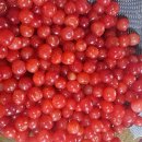 (주)토옥 이미지