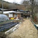 박곡농장 이미지