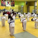 액티브경희태권도장 이미지