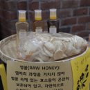 밤톨 양봉