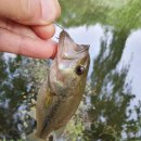 팔당수난구조대 이미지