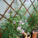 가람농원 이미지