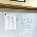 오천초등학교 | [학교 출강] 포항 오천초등학교 마음챙김동아리 센트썬캐쳐 출강 후기 | 공방 클럽김삼백