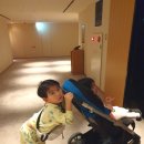 유나오비 | 일본가족여행 셋째날 - 기요미즈데라, (4살,6살) 남매 기모노 체험, 교토여행, 교토 아이와, 교토 아이...