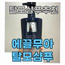 골든러플 | 볼륨샴푸 사용후기 출산후 뻐리빠짐 해결하는 에끌무아 탈모샴푸