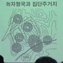 선가 Daum카페