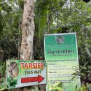 그랜드안경 이미지