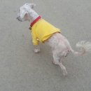 남산면사무소 이미지