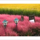 바람새마을 이미지