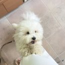 낙산어촌계 화장실 | [양양] 2박 3일 서핑 여행(낙산비치호텔 / 빅아일랜드 서프 / 이스트요가)
