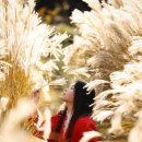 숨도 귤림성 이미지