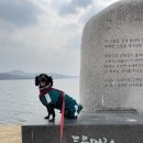 강아지와 산책 | 🐶 두물머리 애견동반 후기 | 강아지와 함께 걷는 힐링 산책 코스