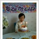 조명해봄 Daum카페