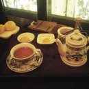 포티올리 이미지