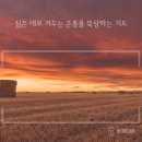 (주)마음심은 이미지