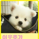 전라도막횟집 이미지