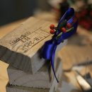 (주)디자인파란 이미지