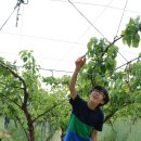 천지배농장 이미지