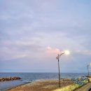 퍼즈269