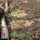 보두농장 이미지