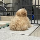 고덕생활축구장 | 신혼일기 (1)