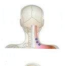 서울턱구강내과치과의원 이미지
