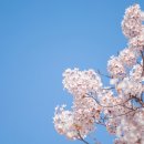 성미산로 178 네이버블로그