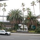 ㈜썬렌트카 | [제주] 저렴하고 편리한 제주 썬렌트카 / 제주도 렌터카 후기 / 렌트카 카모아