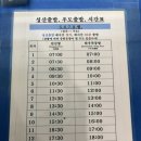 천진항 | [etc] 제주, 우도여행 성산항-천진항 입항 후기(주차, 시간표, 요금, 꿀팁)